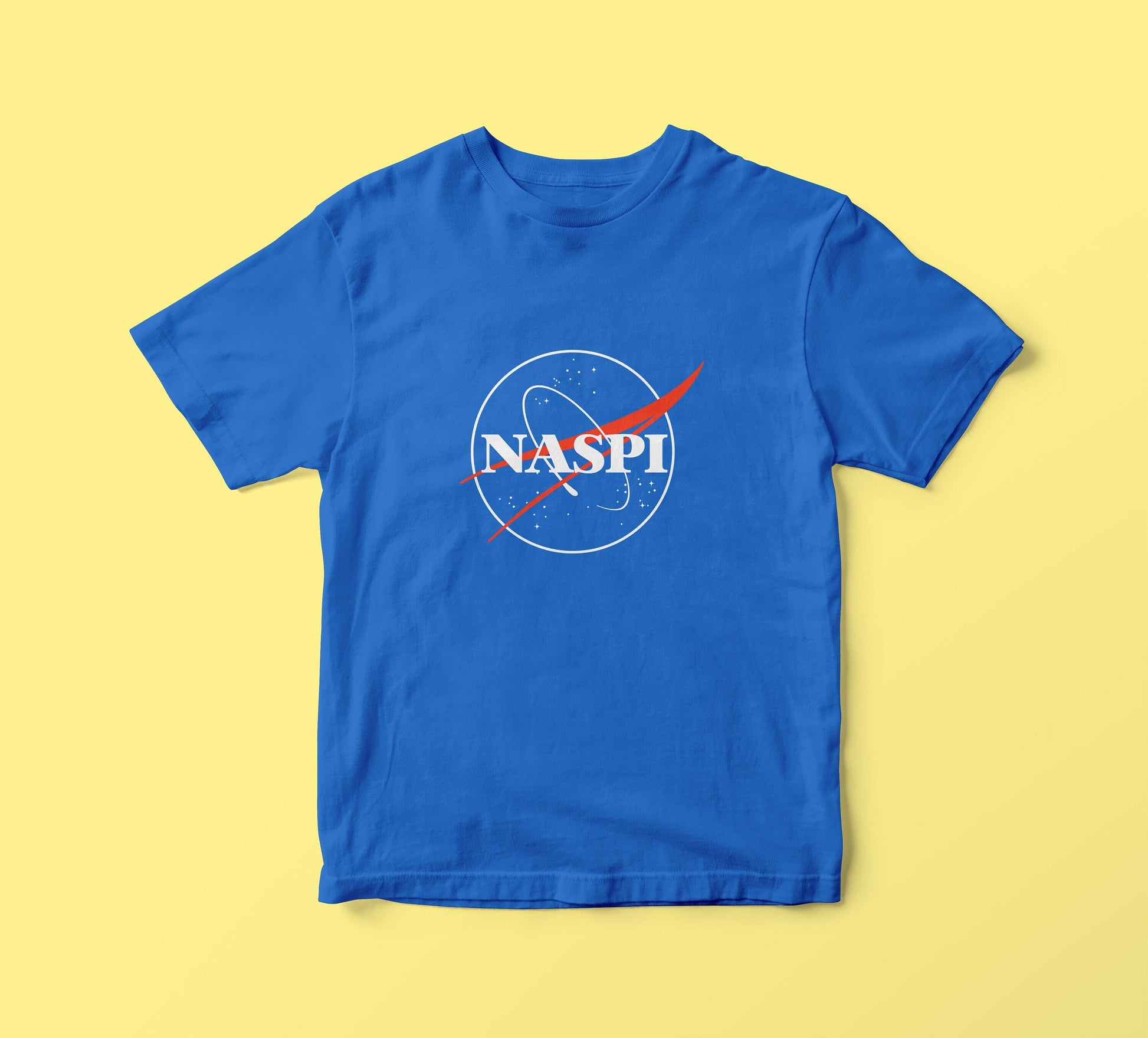 NASPI t-shirt