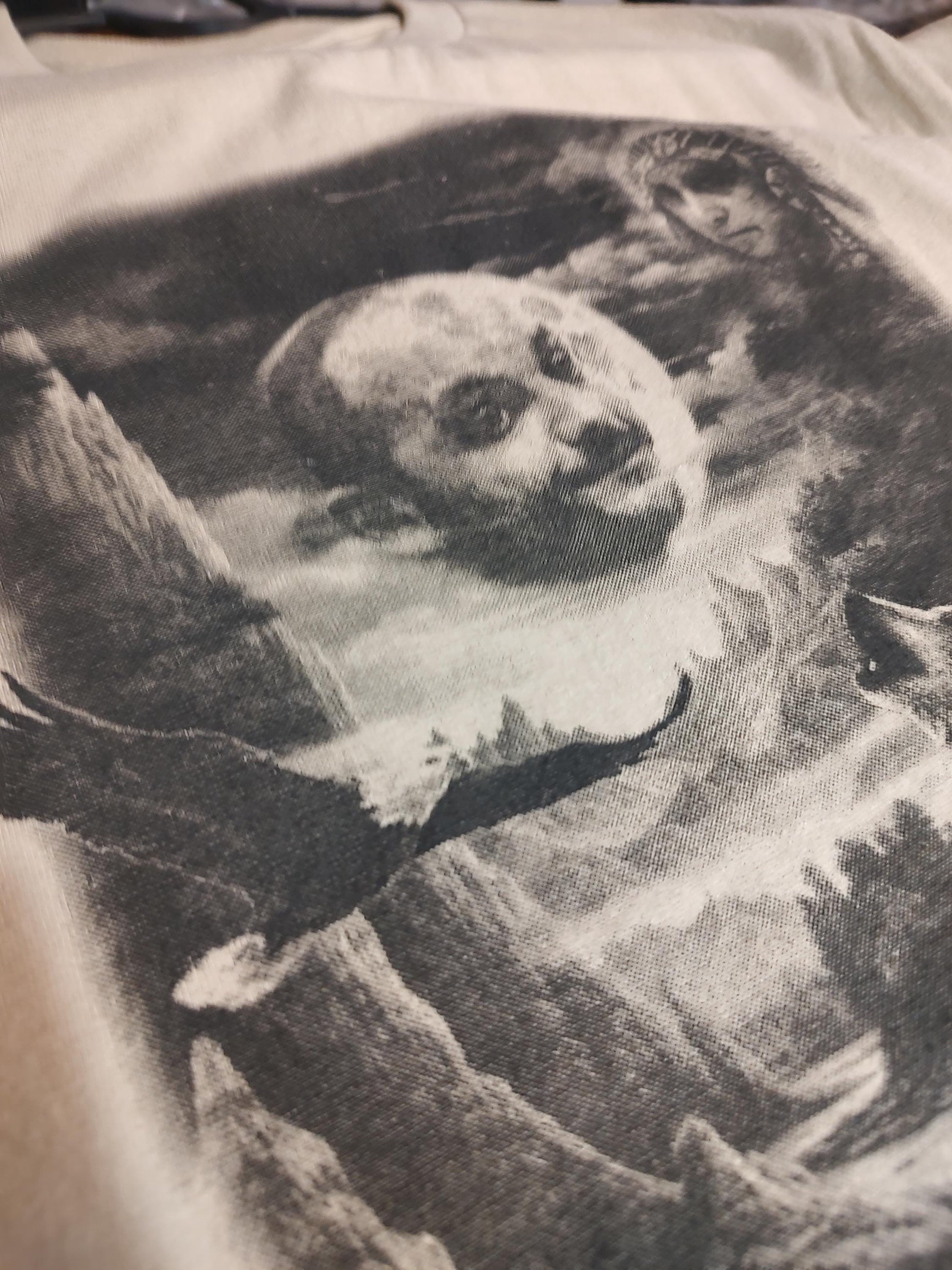 io di solito FACCIO UN MIX t-shirt  Bigioggero native american